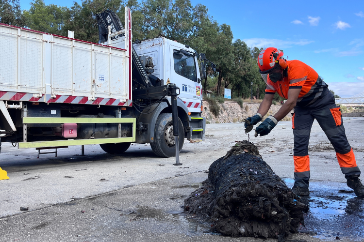 Operario Aigües d'Elx recogiendo una malla llena de toallitas en el río vinalopó
