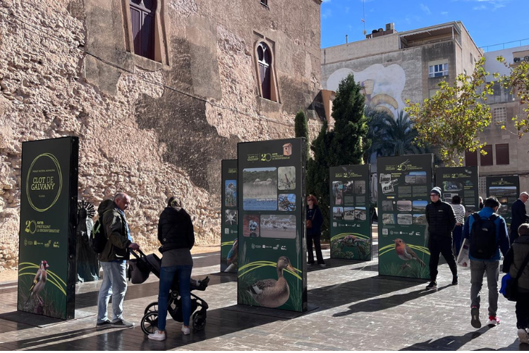 Exposición sobre el Clot de Galvany en la Plaça de Santa Isabel
