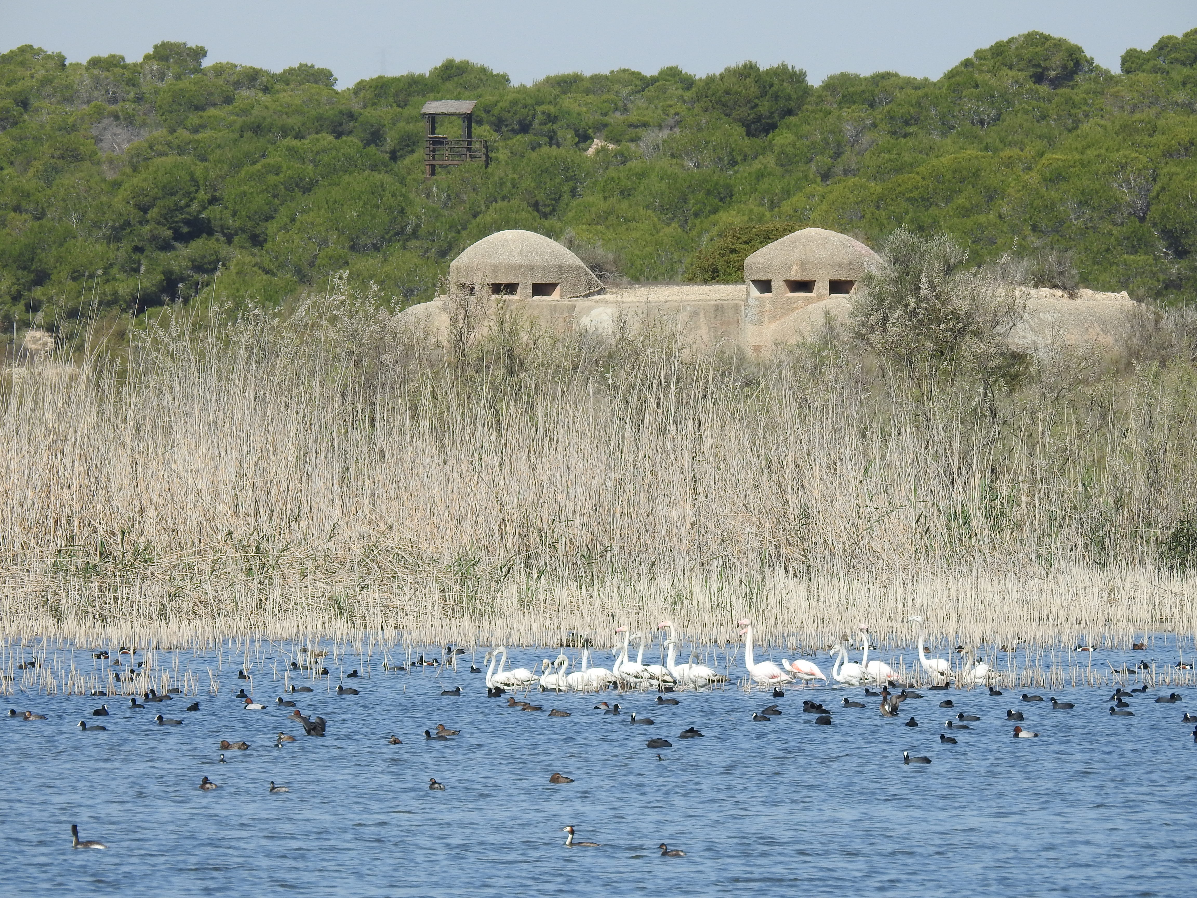 Ir a la noticia El proyecto IRIS digitalizará la gestión de infraestructuras verdes de Alicante y Elche para impulsar su eficiencia